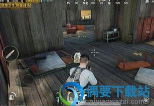 吃鸡宠物爆料大全最新下载,最新下载版深度解析